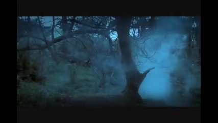 Peter Bjargo - Withdrawal 