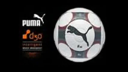Puma 