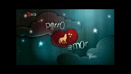 Entrada - Perro Amor