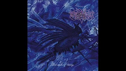 Forest Stream - Without God 