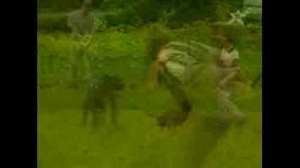 Лоши Кучета.3gp
