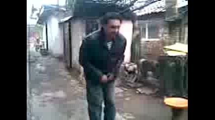 fakulteta