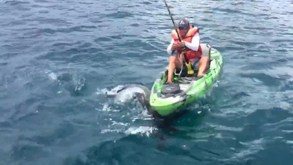 Луд рибар се бори с акула