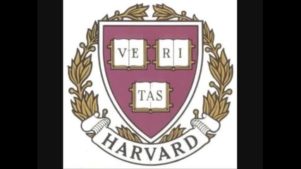 Животът на едно дебело котенце