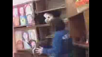 Наври Си Главатаааа
