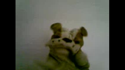 Ludo kuchence