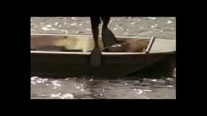H2o - Season 2 - Lewis Spasqva Cleo