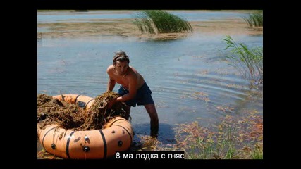 Каламица състезание