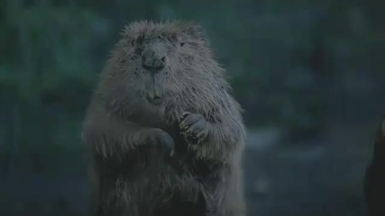 Каквото ти е писано това ще стане