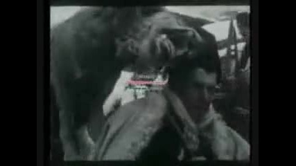 Vuk vs Sarplaninac