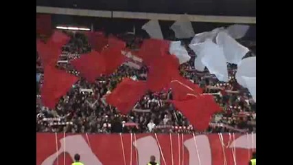 Delije na Zvezda - Hajduk Kula 1 0, 07.11.2009 