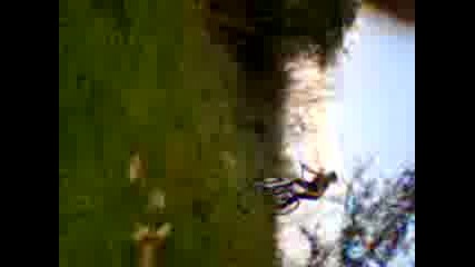 Видео0024 