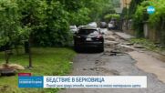 Бедствие в Берковица