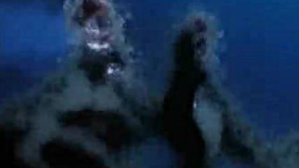 Bleach - 110 бг субс