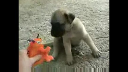 Кученце се опитва да имитира играчка