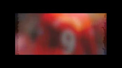 Димитър Бербатов Всезнанието