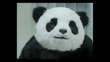 Never say No to Panda!