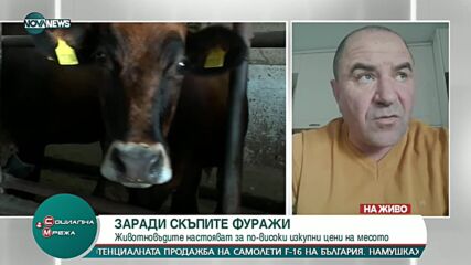 Птицевдите са пред колапс - излизат на национален протест