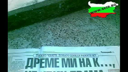 Порция От Бг Резил