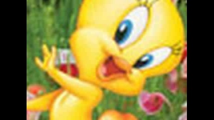 Tweety Bird
