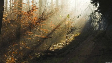 Secret Garden - Song From Secret Garden