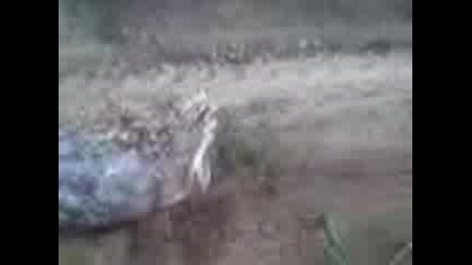 Видео000.3gp