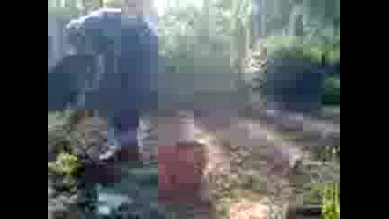 за вбоха002.3gp 