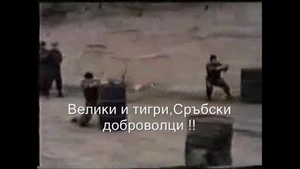 Svetimir Ilic - Arkanove Delije Превод 
