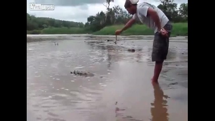 Опасна игра с крокодил