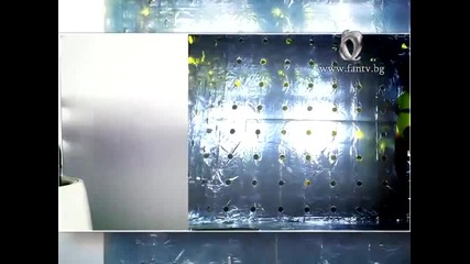 Теодора - Ваш`та маса