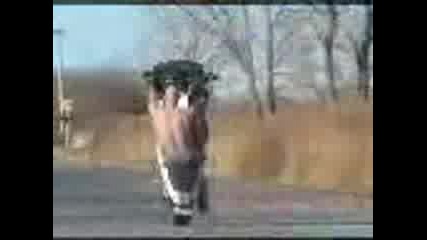 Avto - Moto