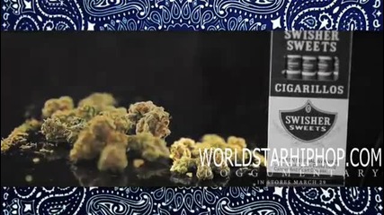 Snoop Dogg - Gangbang Rookie (official Video)