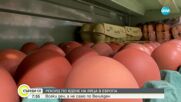 Рекорд по ядене на яйца в Европа - всеки ден, не само по Великден