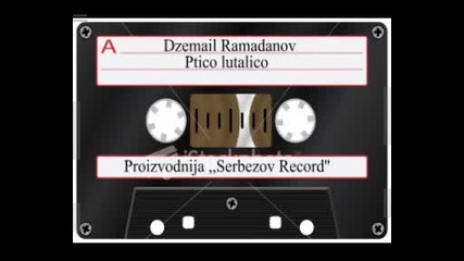 Dzemail Ramadanov - Ptico lutalico