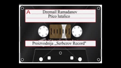 Dzemail Ramadanov - Ptico lutalico 