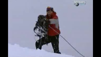 Discovery Channel - Оцеляване В Патагония - Част 3