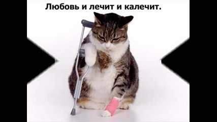 Lubov I Revnost