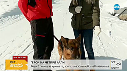 Стартира кампания в помощ на кучетата, които спасяват хора в планината
