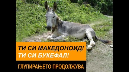 Ти Си Букефал!