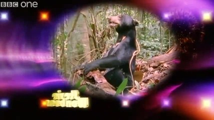 Говорещите животни -- Bbc One