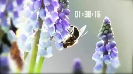 O2 - Walking on a dream * High Qualiy *
