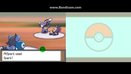 Let's play Pokemon Platinum with Anio01raiokv part 8