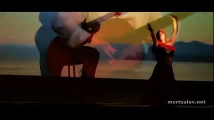 Вячеслав Мерцалов - Фламенко
