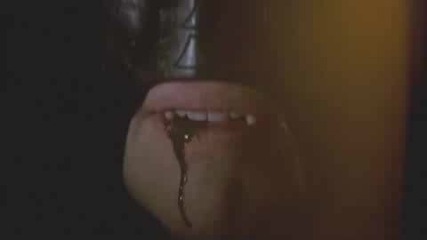 Trailer ... ( 2008)