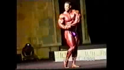 Bodybuilding - Kevin Levrone.