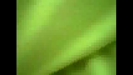 Pirdop