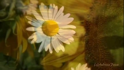 Ernesto Cortazar -relaxing music