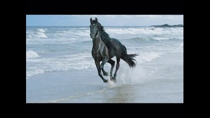Horses / salvatore freda and volta - western spaghetti (original mix)
