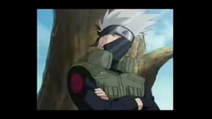 team 7 love story