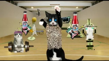 Котки Фитнесманияци - Реклама На Сок 